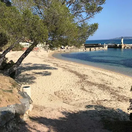 Des Cigales * Grimaud